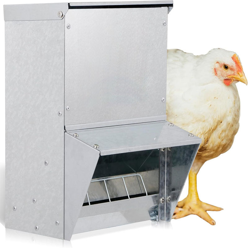 Automatic Chicken Feeder Galvanized Poultry Feeder Holds 30lbs No Waste Waterproof for Poultry