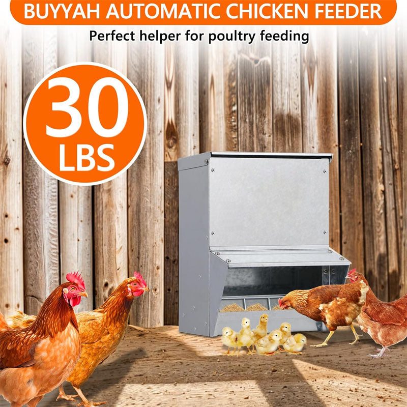 Automatic Chicken Feeder Galvanized Poultry Feeder Holds 30lbs No Waste Waterproof for Poultry