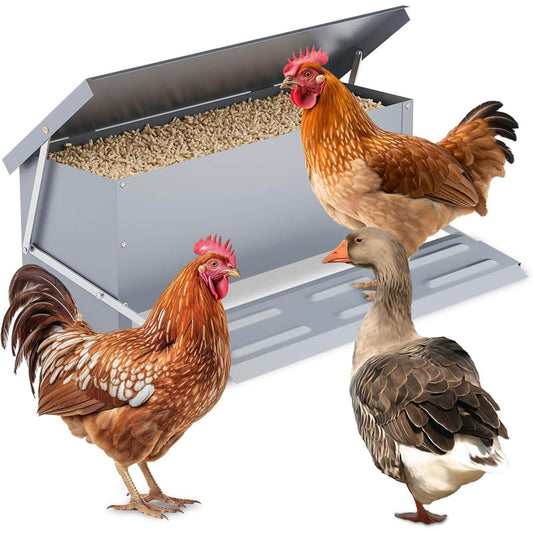 22 lb Automatic Poultry Feeder with Weatherproof Lid Poultry Feeders for Chicken Duck Outdoor