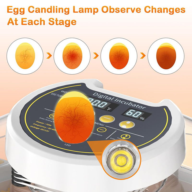 18 Egg incubator with automatic Egg turning and humidity control Incubator for chicken Eggs for Hatching Chickens