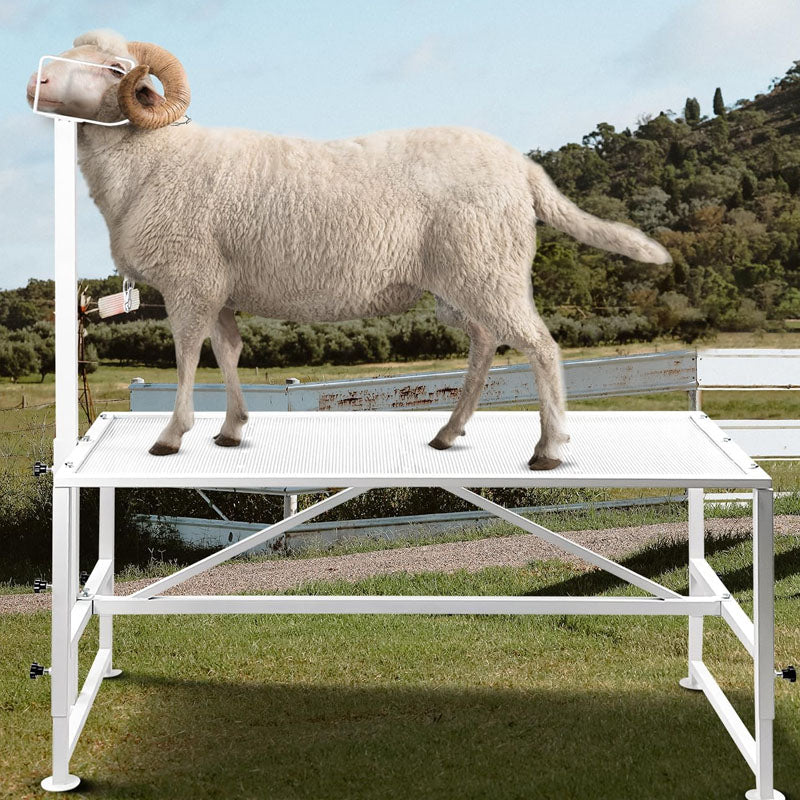 Livestock Stand 47x23 inch Livestock Stand with Adjustable Headpiece Goat Shearing Livestock Stand