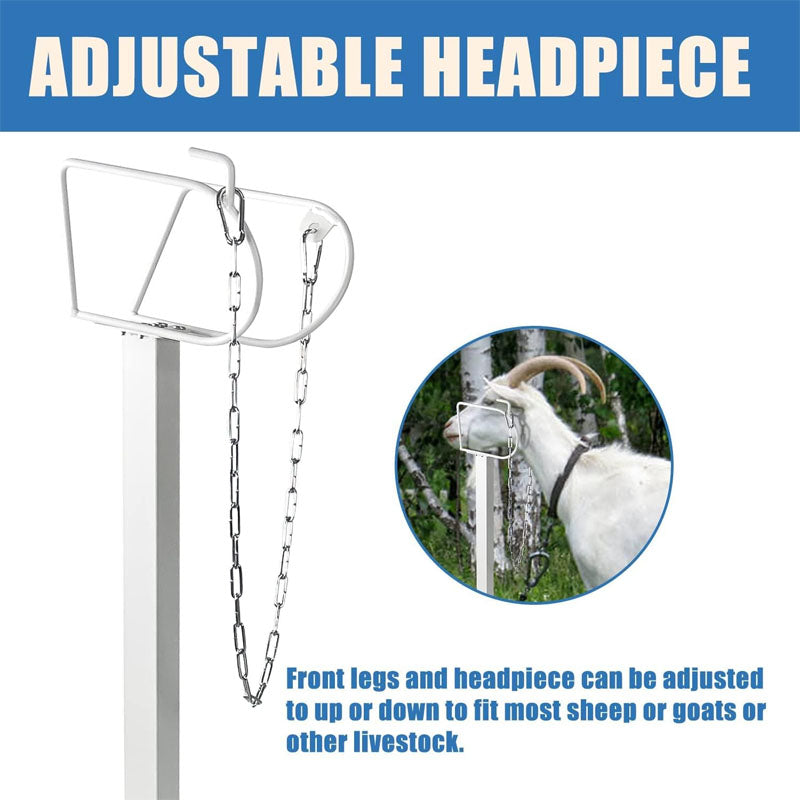 Livestock Stand 47x23 inch Livestock Stand with Adjustable Headpiece Goat Shearing Livestock Stand