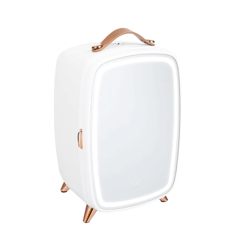 6l Portable Small Refrigerator Beauty Mini Skincare Fridge With Led Lighting Makeup Mirror Cosmetic Fridge