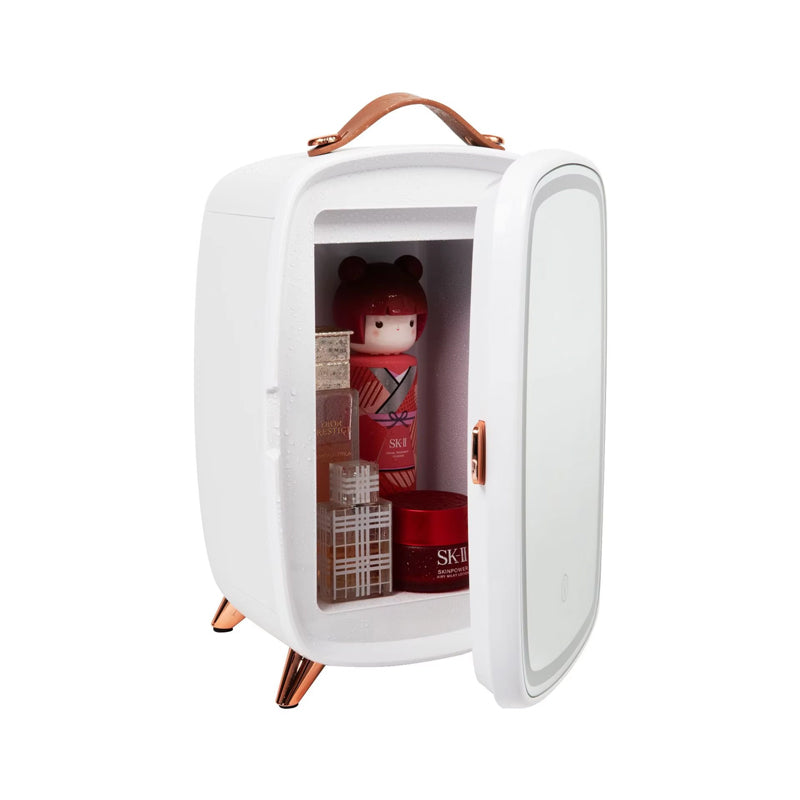 6l Portable Small Refrigerator Beauty Mini Skincare Fridge With Led Lighting Makeup Mirror Cosmetic Fridge