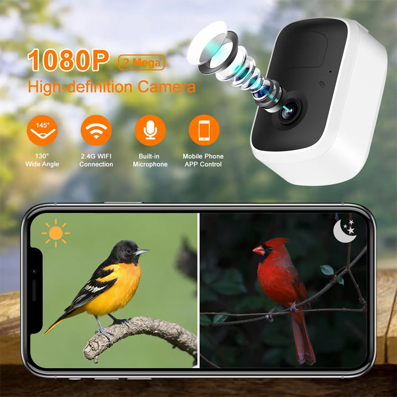 1080p Hummingbird Ai Outdoor Motion Activted Video Smart Bird Buddy Feeder Camera With Solar Panel