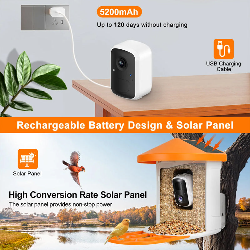 1080p Hummingbird Ai Outdoor Motion Activted Video Smart Bird Buddy Feeder Camera With Solar Panel