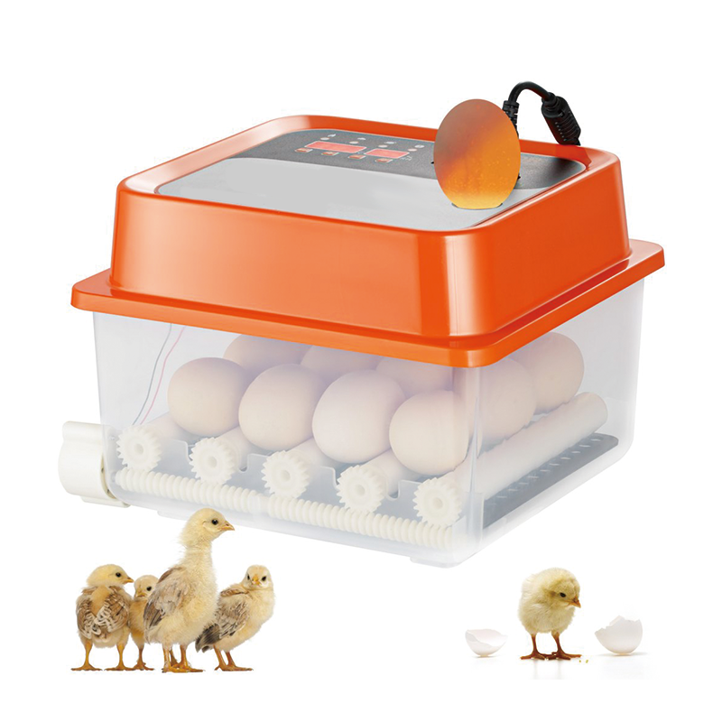 Incubators for Hatching Eggs,Egg Incubator, Automatic Egg Turner with with Temperature and Humidity Control, 12 Eggs Poultry Hatcher with ABS Transparent Shell for Chicken, Duck, Quail
