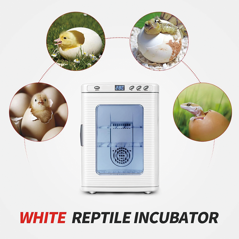 Reptile Incubator, 25L Portable Reptile Scientific Lab Incubator with 5°C-60°C, 12V/110V Work for Small Reptiles (White)