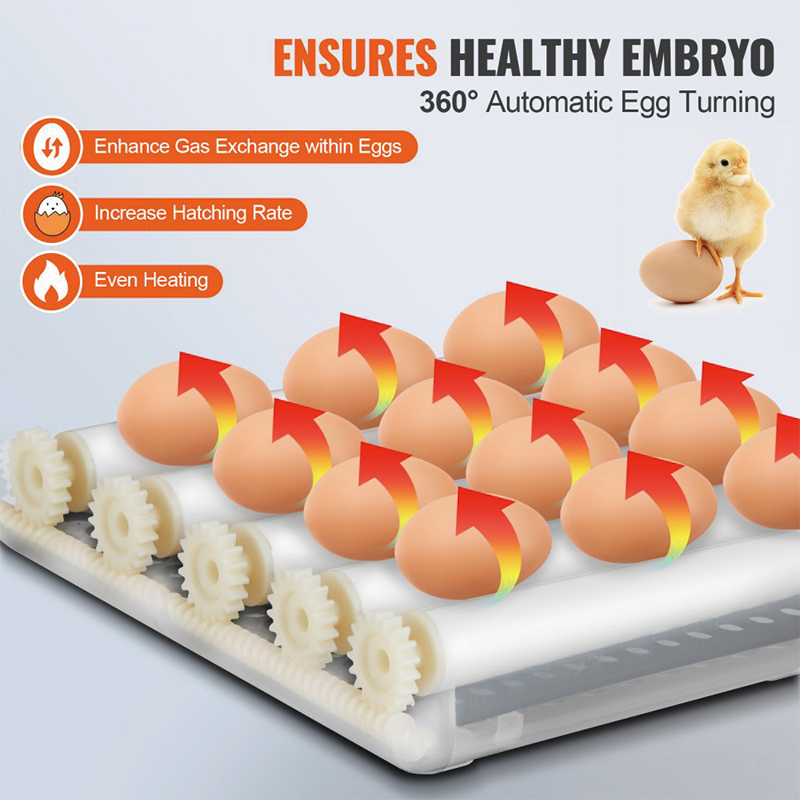 Incubators for Hatching Eggs,Egg Incubator, Automatic Egg Turner with with Temperature and Humidity Control, 12 Eggs Poultry Hatcher with ABS Transparent Shell for Chicken, Duck, Quail