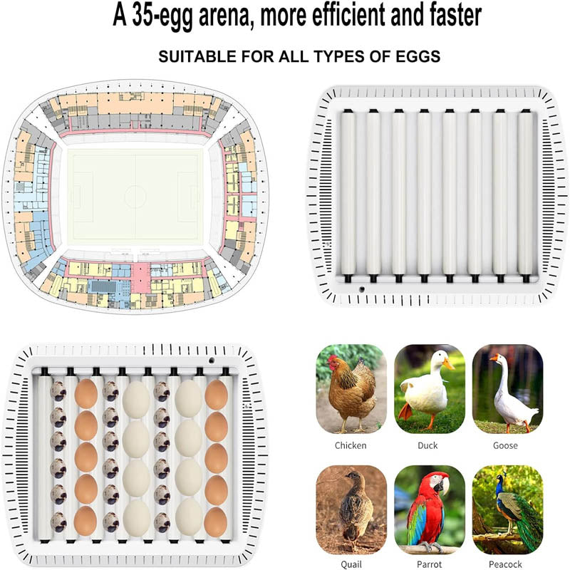 35 Egg Incubator Reptile Incubator with Automatic Egg Turning and Humidity Control for Chicken Duck Goose Quail