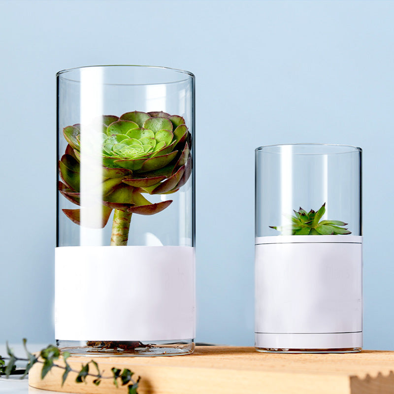 Simple Succulent Glass Flower Pot, Wholesale Ins Style Desktop Hydroponic Plants Transparent European Potted Glass Small Vase
