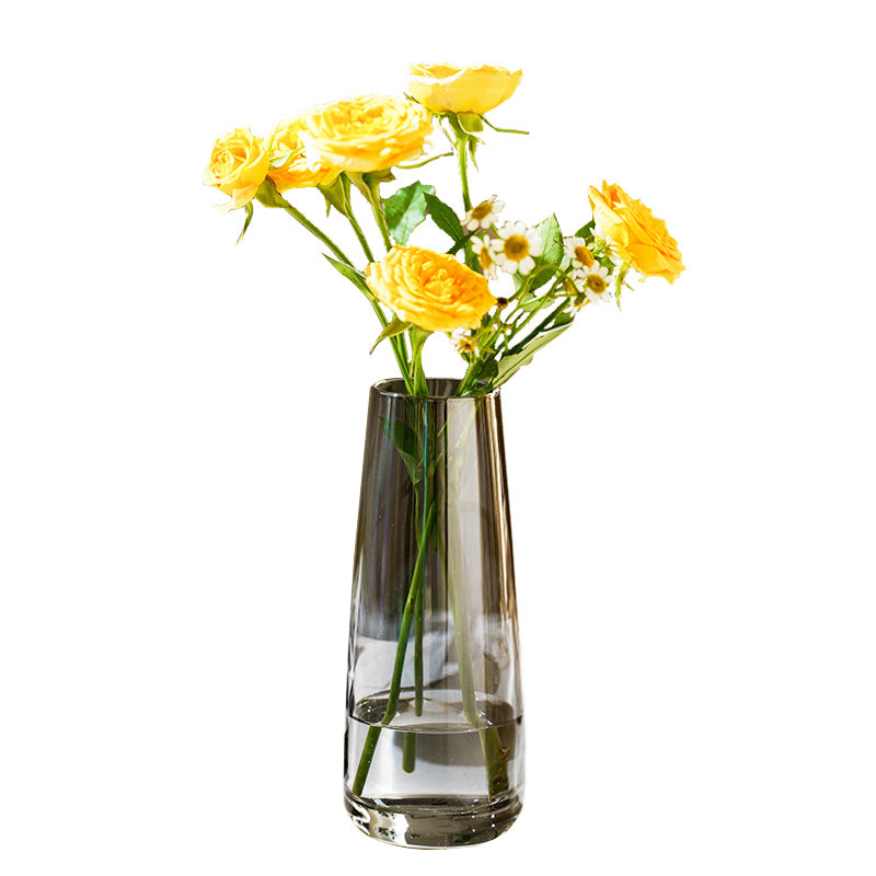 Creative And Simple Ins Style Glass Vase, Water-Filled Transparent Internet Celebrity Living Room Vase, Dried Flower Decorative Vase